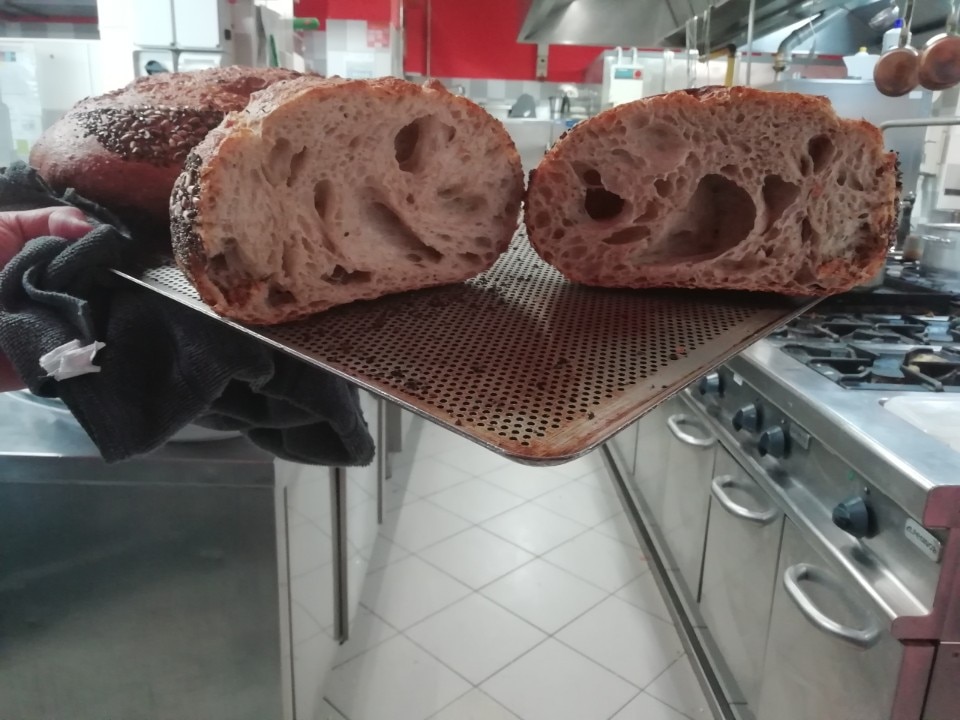 food, cibo, cucchiaio d'argento, corteccia, boschi