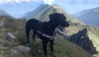 Foto Giuseppe Gotti - Argo sulle prealpi orobie bergamasche