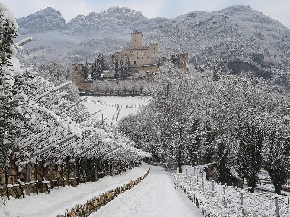 FAI, Fondo Ambiente Italiano, Progetto Alpe, Sergio Mattarella, restauro, ambiente, tradizione