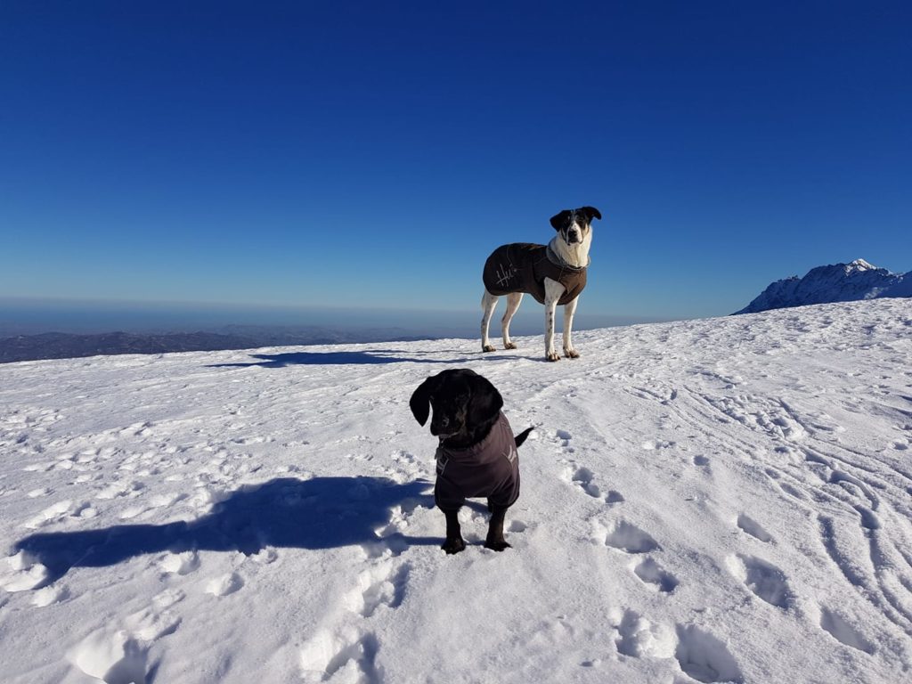Mafalda e Stella sul Gran Sasso. Foto di Roberta Lentini