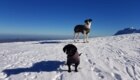 Mafalda e Stella sul Gran Sasso. Foto di Roberta Lentini