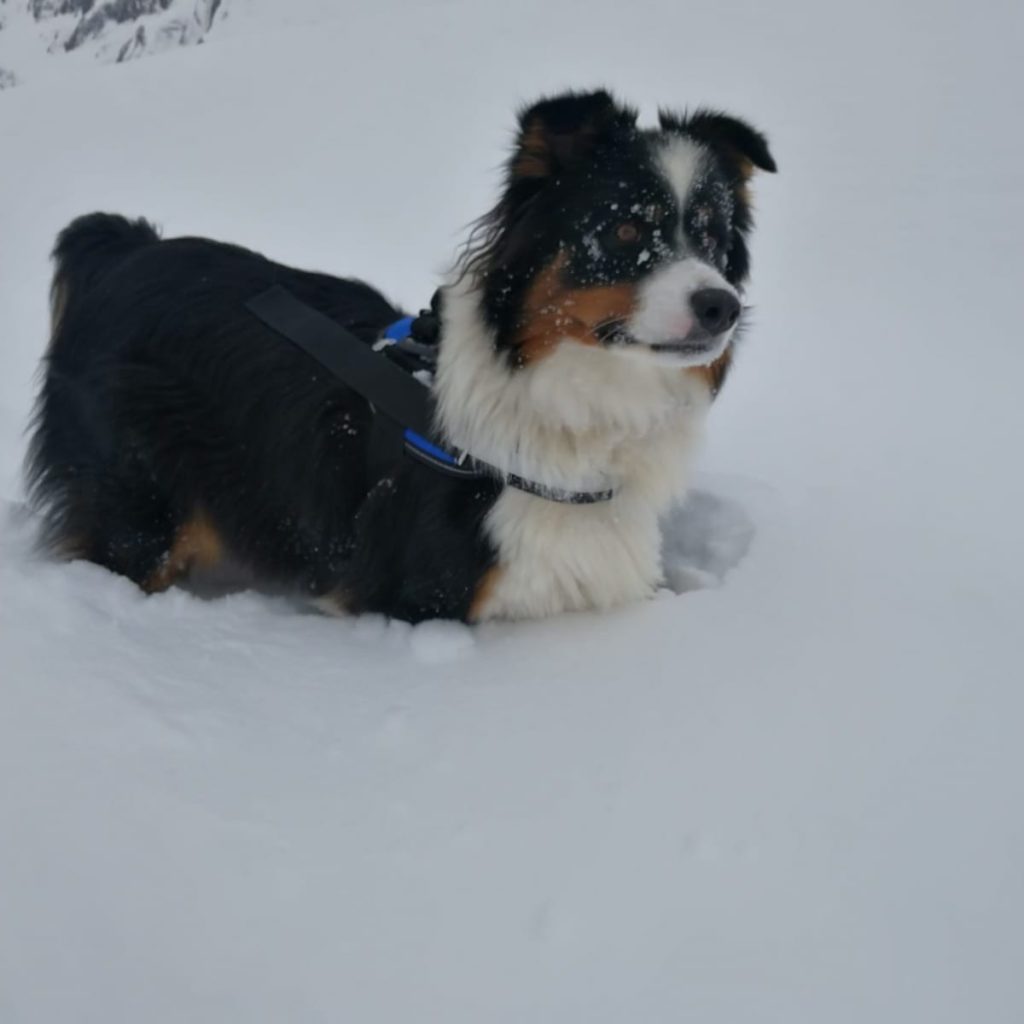 Foto di Tiziana Valzer 