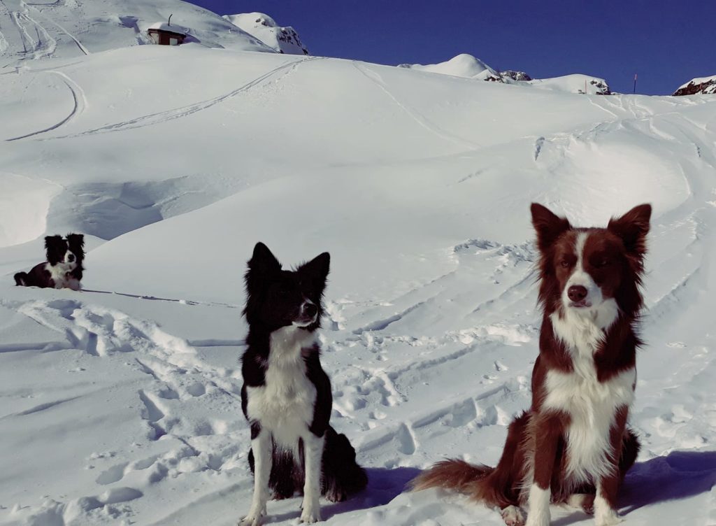 Foto di Rossana Papini