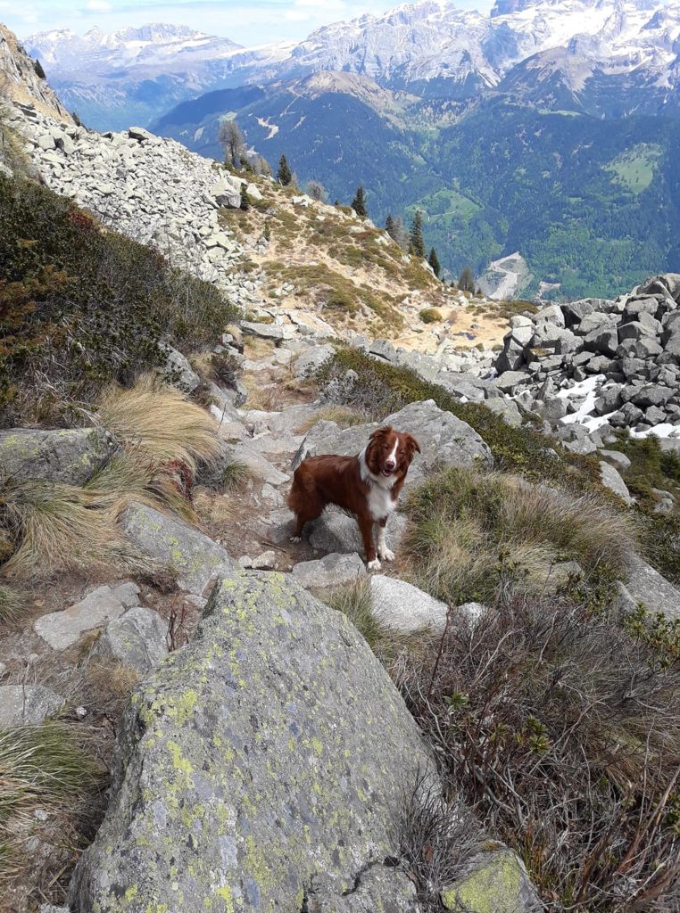 Foto di Diana Kuzmann