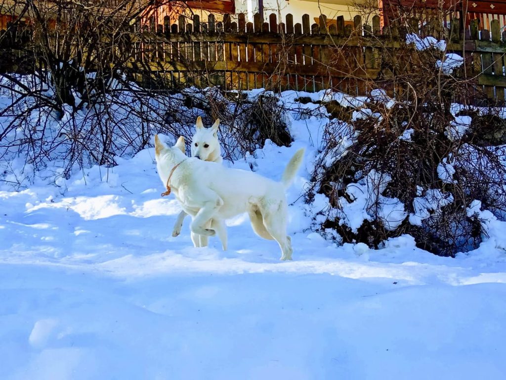 Foto di Nadia Ramponi