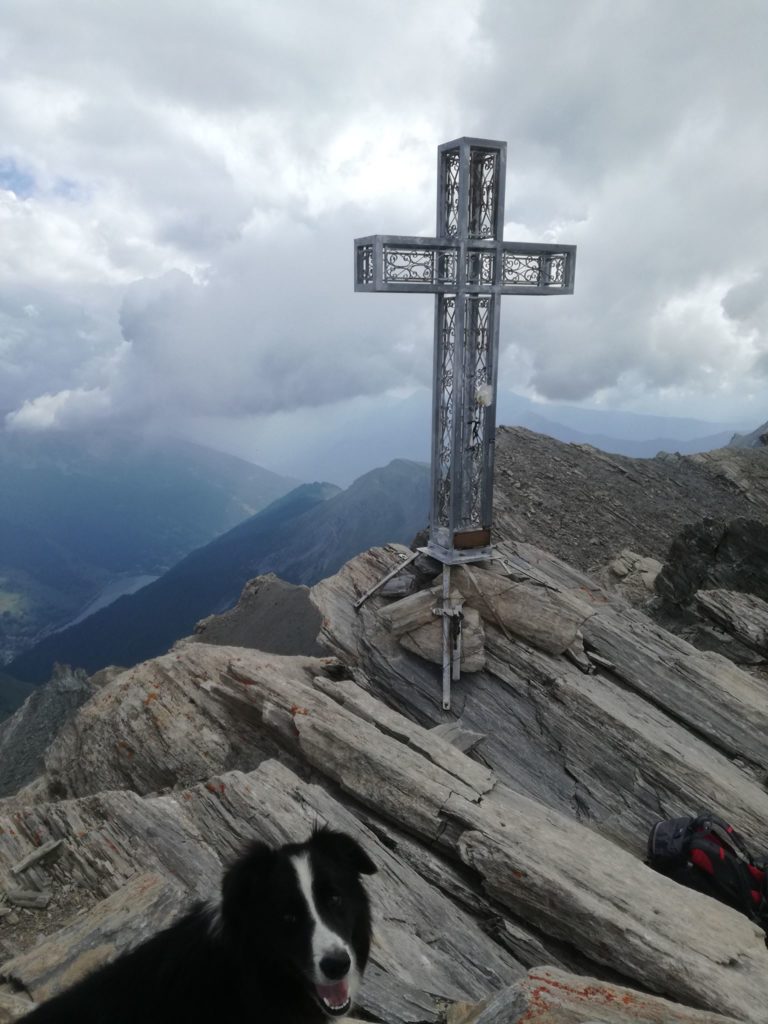 Un Jedi super preso bene sul Monte Salza, 3326mt, Alpi Cozie. Foto di Paolo Effe
