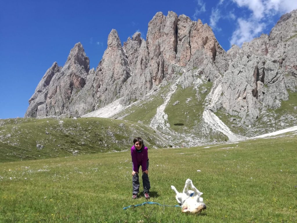 "Corrasi (come il monte della Sardegna) 5 anni di scorribande sulle Alpi. Lui è un labrador anomalo, ama la montagna e rifugge l
