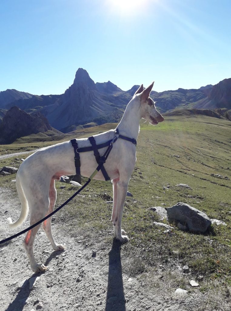 Navarro. Foto di Beatrice Olivero