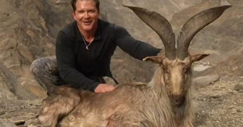 pakistan, markhor, caccia, trofeo, Bryan Kinsel Harlan, Gilgit Baltistan