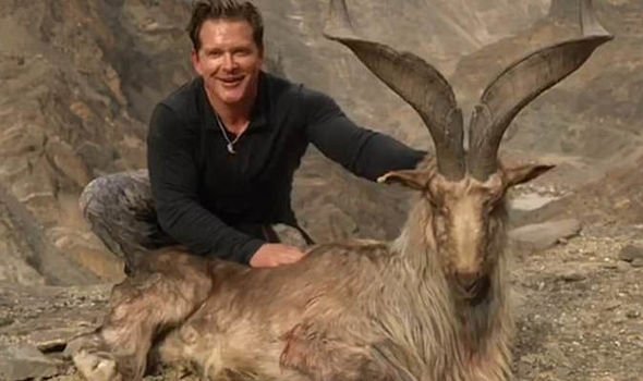 Photo of Cacciatore di trofei paga 110.000 dollari per uccidere una capra di montagna in Pakistan