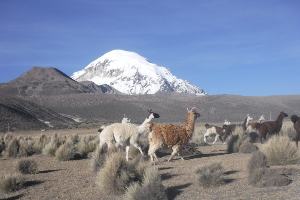 Foto Archivio Tomas Franchini
