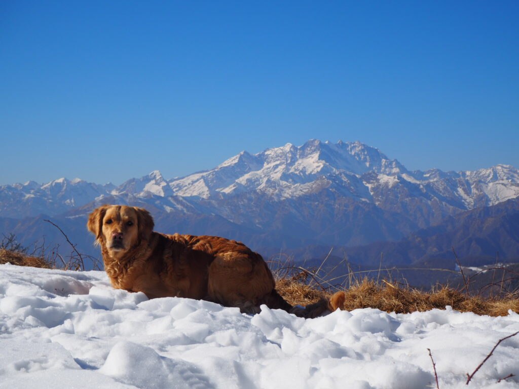 Freya ed il Monte Rosa. Foto di Roberto Zona