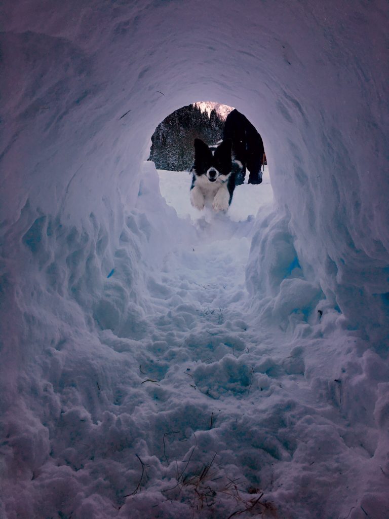 Foto di Giulia Beretta