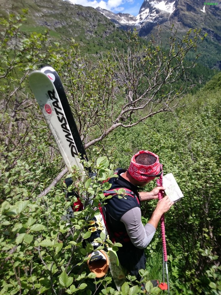 20-06-2016 Nella piana dopo la Malfatta, in ricerca del sentiero per il rifugio Pastore è come essere nella jungla