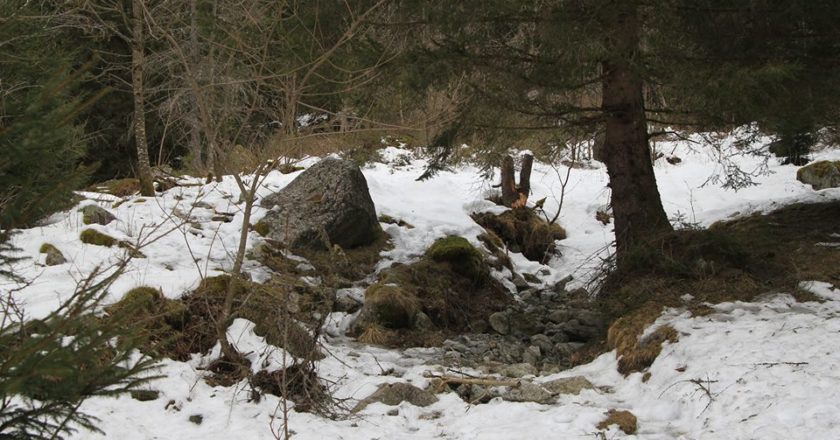 val di mello, ersaf, mauro corona, disabili, sentiero, petizione, protesta, Luca Maspes, Lombardia