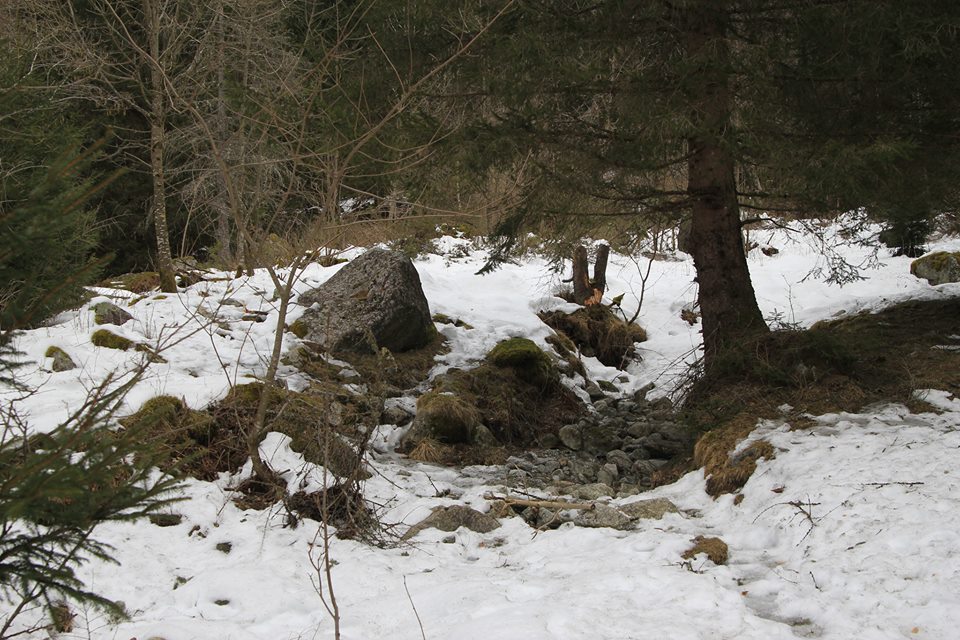 val di mello, ersaf, mauro corona, disabili, sentiero, petizione, protesta, Luca Maspes, Lombardia
