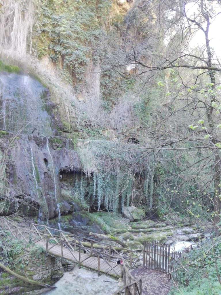 Foto @ Luciano Pellegrini