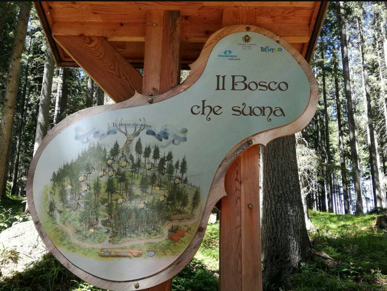 Val di Fiemme, liuteria, stradivari, Federforeste, tempesta vaia