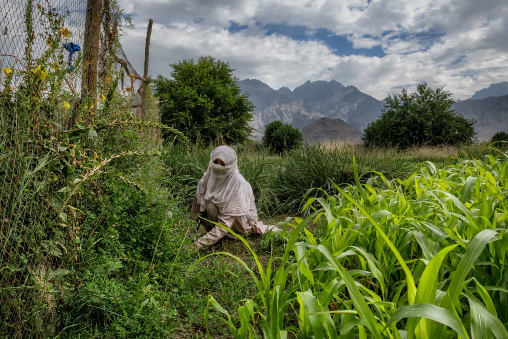 Foto di Paolo Petrignani