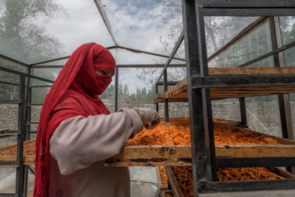 Foto di Paolo Petrignani