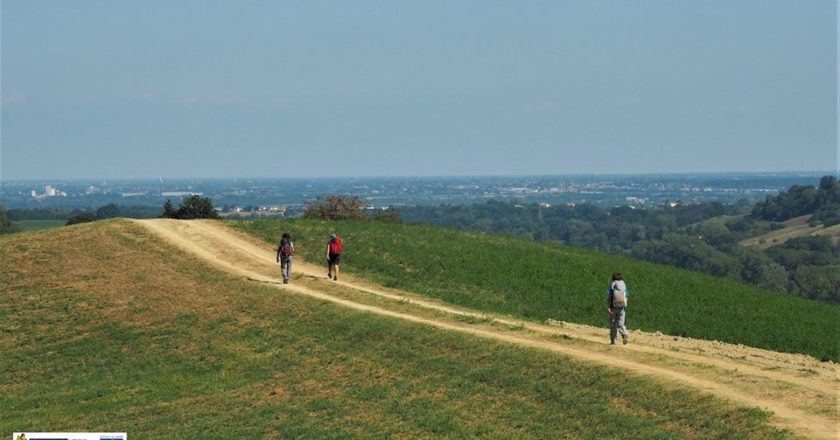cammini, terre di mezzo, sondaggio, cammino di santiago, via francigena