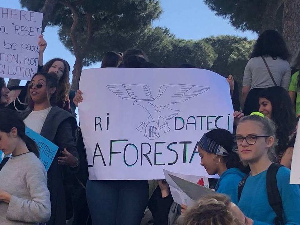 Foto FB @Federazione Rinascita Forestale Ambientale