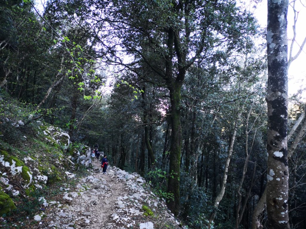 Una passeggiata sul Semprevisa per Daniele Nardi