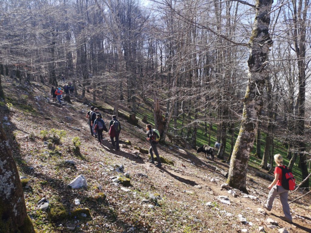 Una passeggiata sul Semprevisa per Daniele Nardi