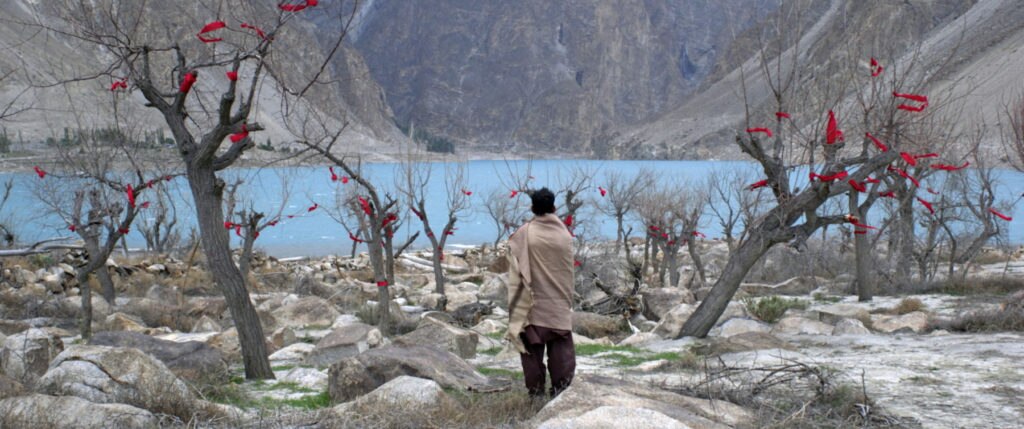 The Absence of Apricots