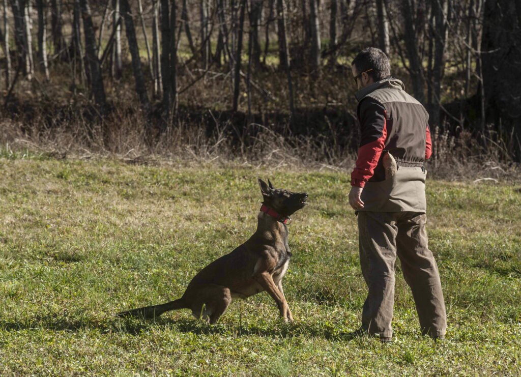 Addestramento cani antiveleno. Foto EAM