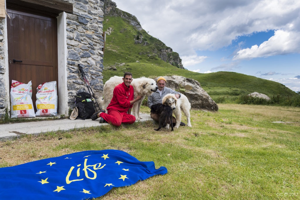 Consegna crocchette per i cani da guardiania. Foto G. Cristiani