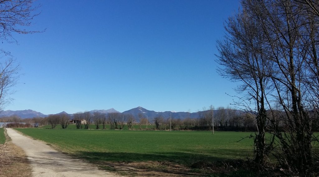 Campagne San Martino - Lombardia