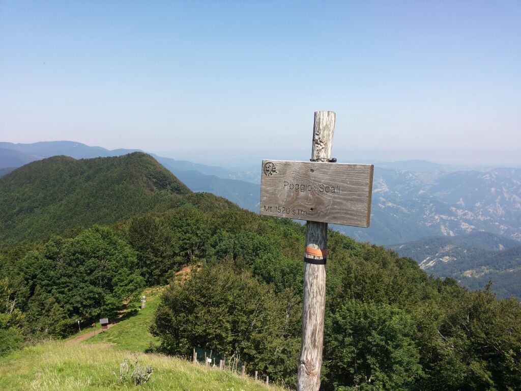 Poggio Scali Sasso Fratino - Emilia - Romagna