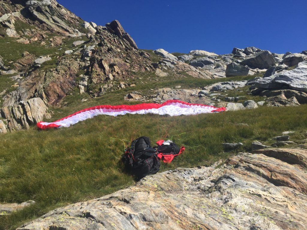 Pronto a volare. Foto archivio Alfio Ghezzi