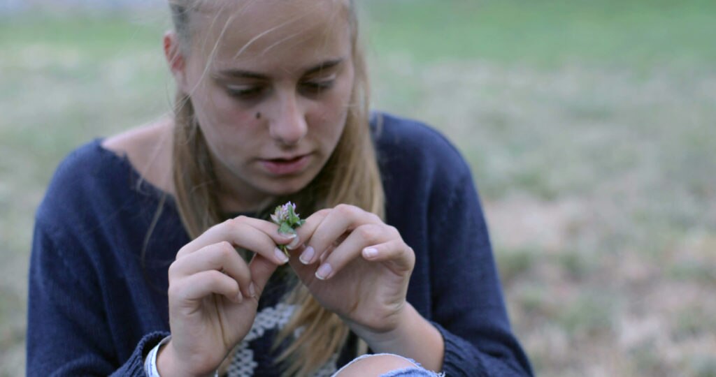 La regina di Casetta