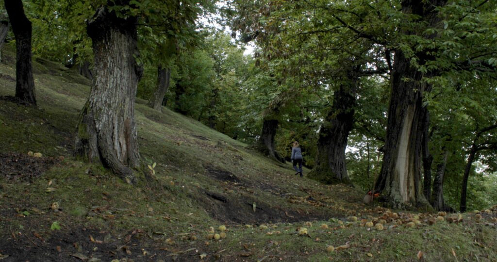 La regina di Casetta