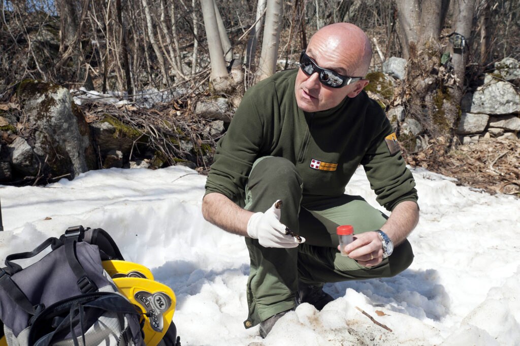 Momenti di monitoraggio. Foto N. Villani EAM