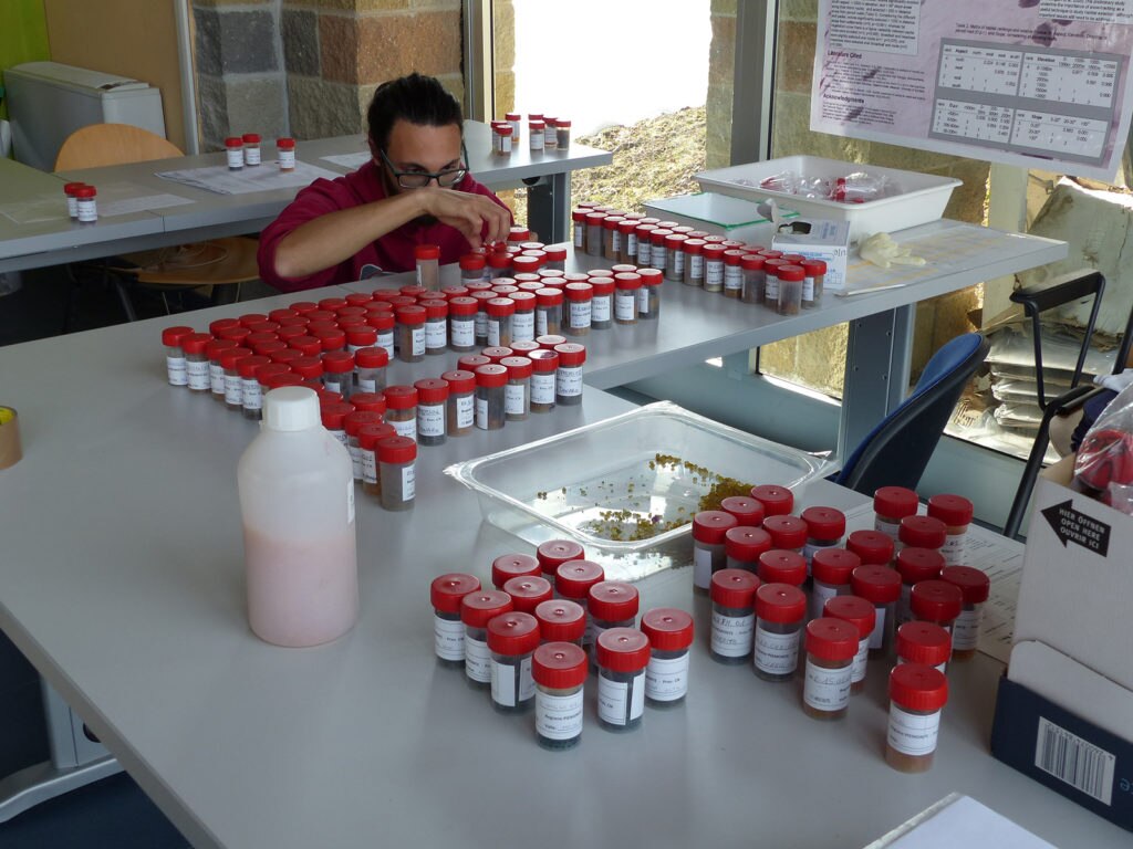Preparazione campioni per invio analisi. Foto I. Borgna EAM