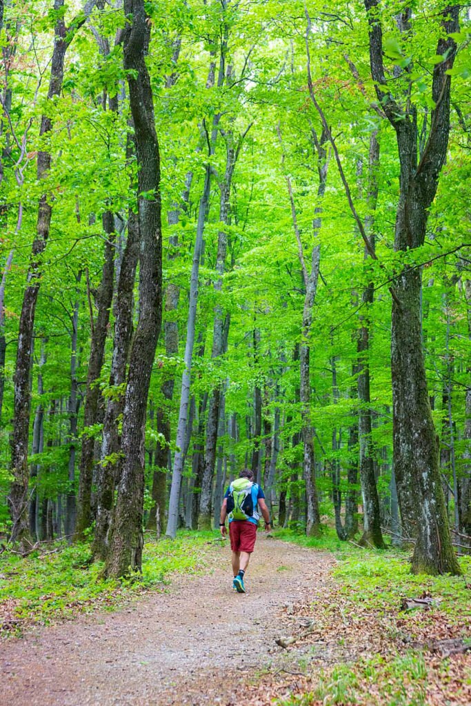 Geoparco Papuk, Croazia