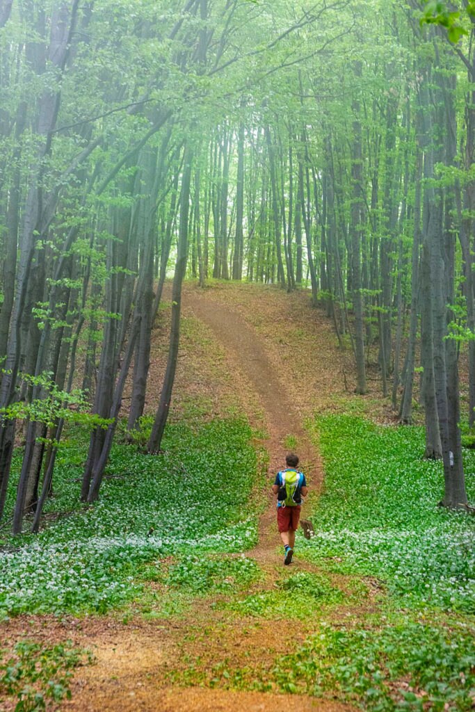 Geoparco Papuk, Croazia