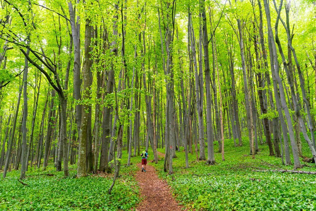 Geoparco Papuk, Croazia