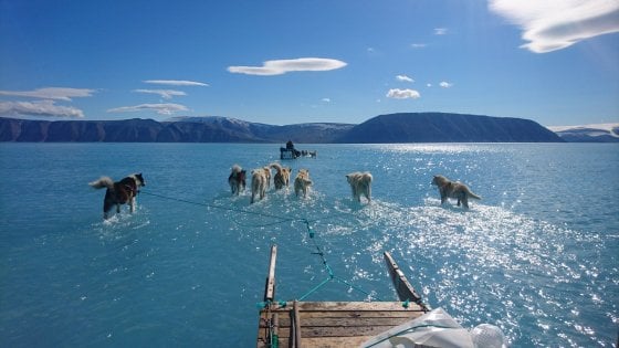 groenlandia, cani da slitta, ghiaccio, riscaldamento globale, meteorologia