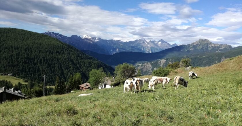 legambiente, bandiere, carovana delle alpi, tutela, ambiente