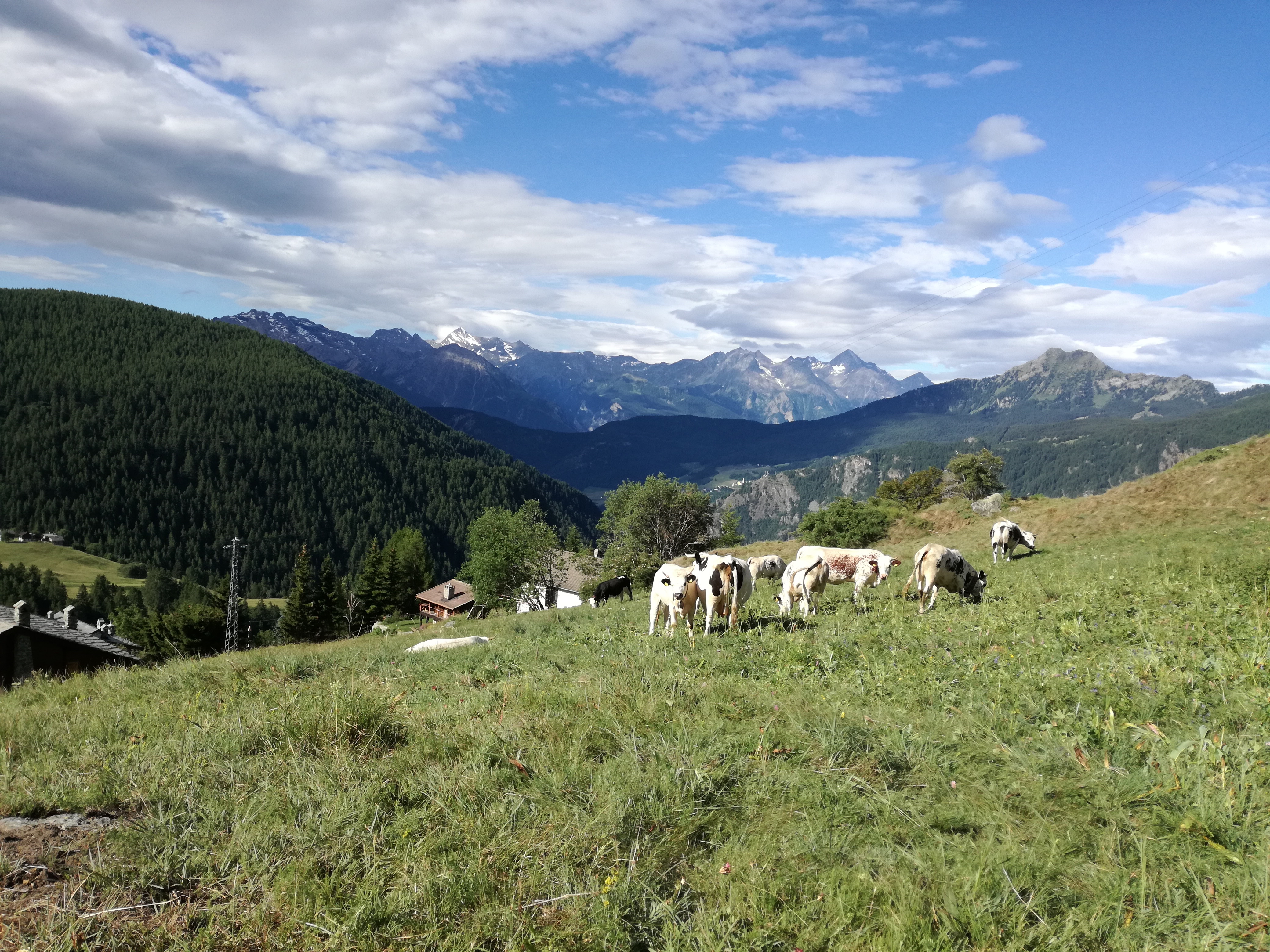 legambiente, bandiere, carovana delle alpi, tutela, ambiente