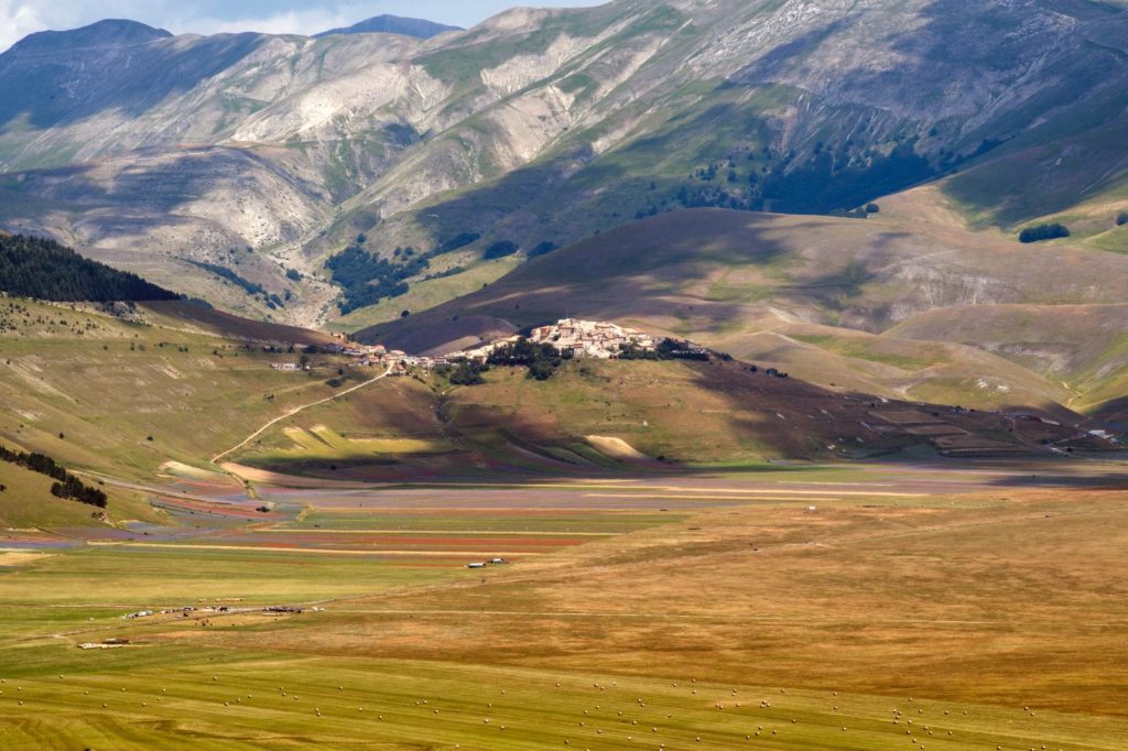 La "Fiorita" nella Piana di Castelluccio, anno 2018 - Foto Francesco Patacchiola