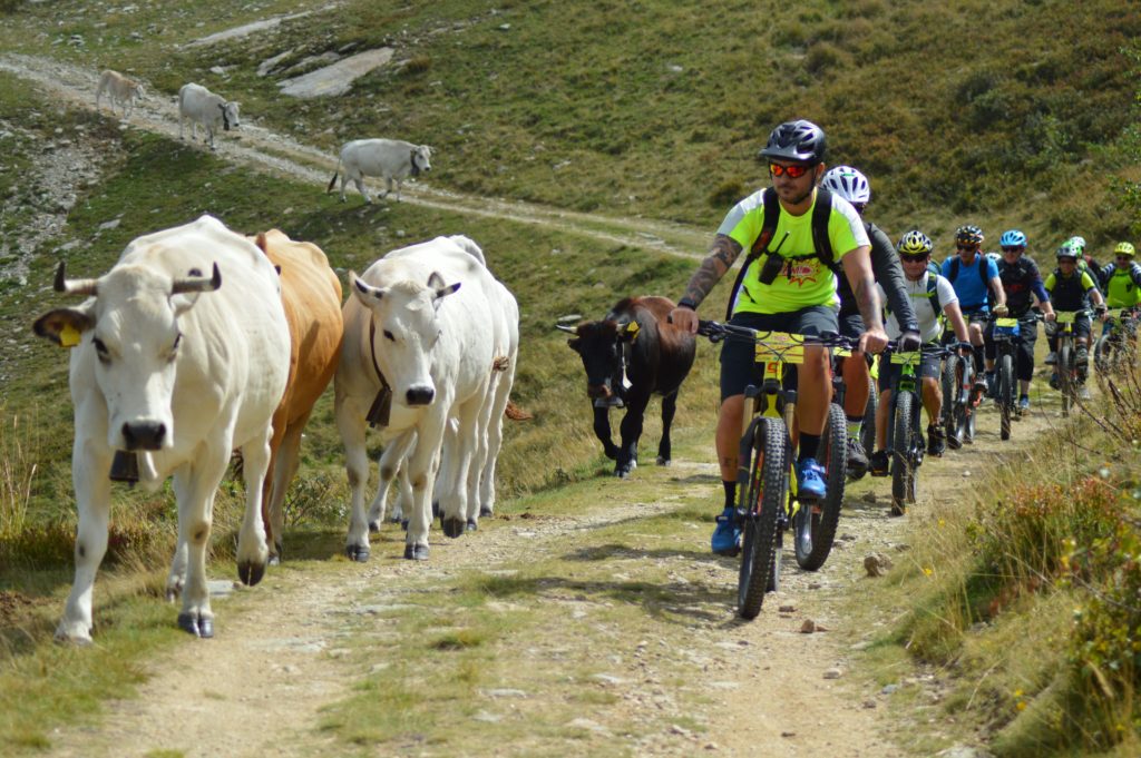 Speciale Bike Valsesia