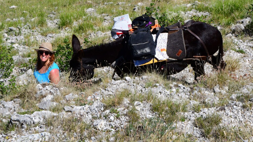 Discesa (con gli asini) verso Castelluccio