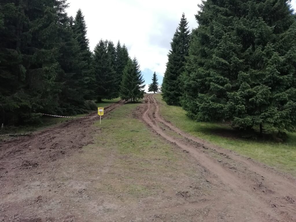 I sentieri della zona del Primiero danneggiati dal passaggio delle jeep - Foto Alessio Vedovetto