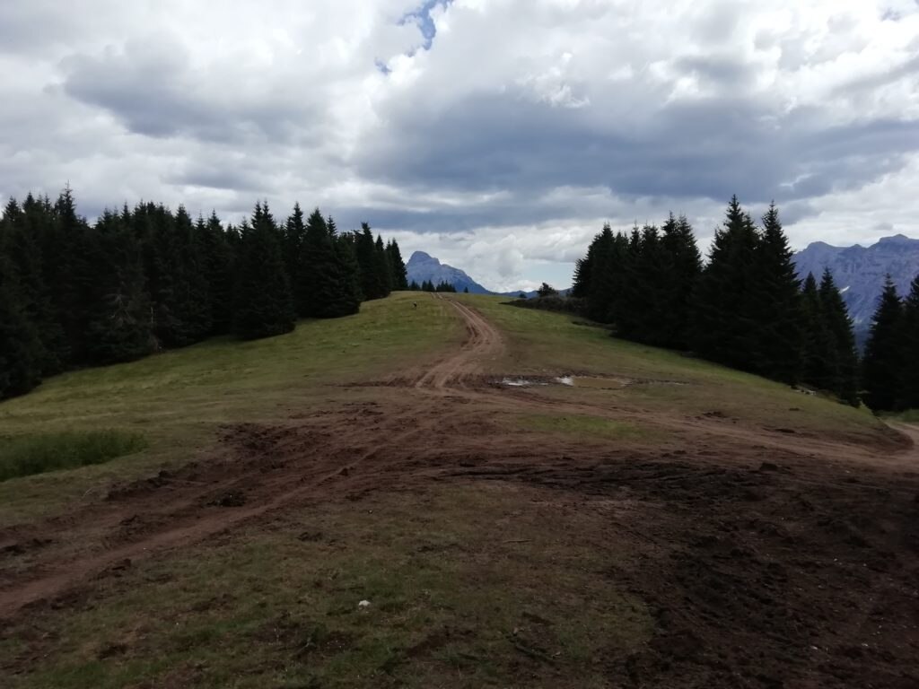 I sentieri della zona del Primiero danneggiati dal passaggio delle jeep - Foto Alessio Vedovetto