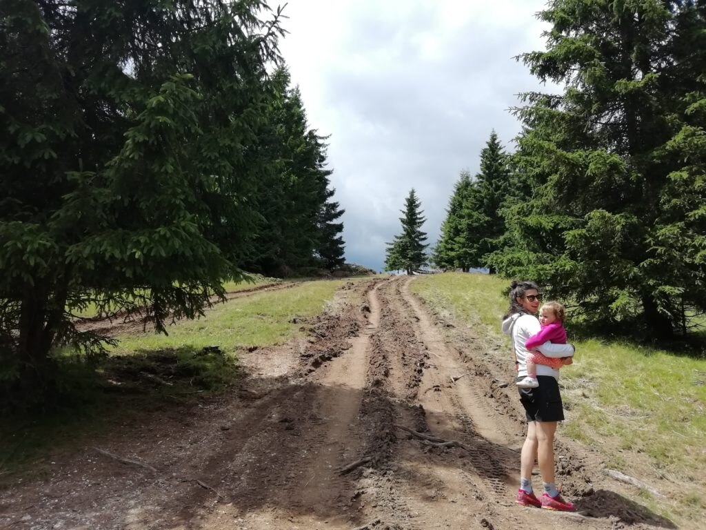 I sentieri della zona del Primiero danneggiati dal passaggio delle jeep - Foto Alessio Vedovetto